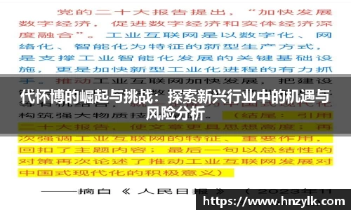 代怀博的崛起与挑战：探索新兴行业中的机遇与风险分析